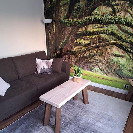 Apartament Natura Lidzbark Warmiński Zewnętrze zdjęcie